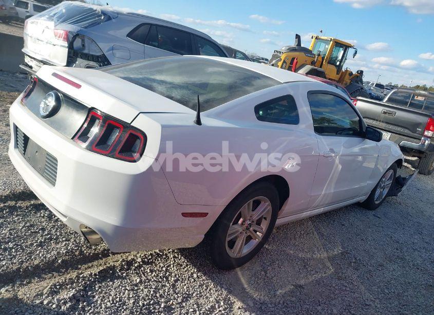 Photo 13 of 2014 Ford Mustang V6 (VIN 1ZVBP8AMXE5276567)
