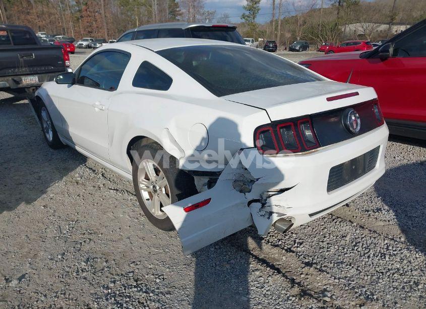 Photo 3 of 2014 Ford Mustang V6 (VIN 1ZVBP8AMXE5276567)