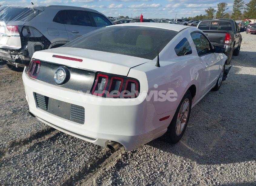 Photo 4 of 2014 Ford Mustang V6 (VIN 1ZVBP8AMXE5276567)