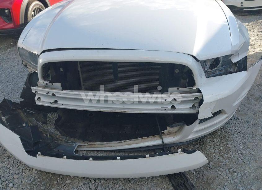 Photo 6 of 2014 Ford Mustang V6 (VIN 1ZVBP8AMXE5276567)