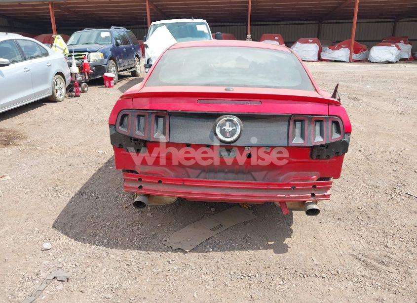 Photo 17 of 2014 Ford Mustang V6 PREMIUM (VIN 1ZVBP8AMXE5297869)