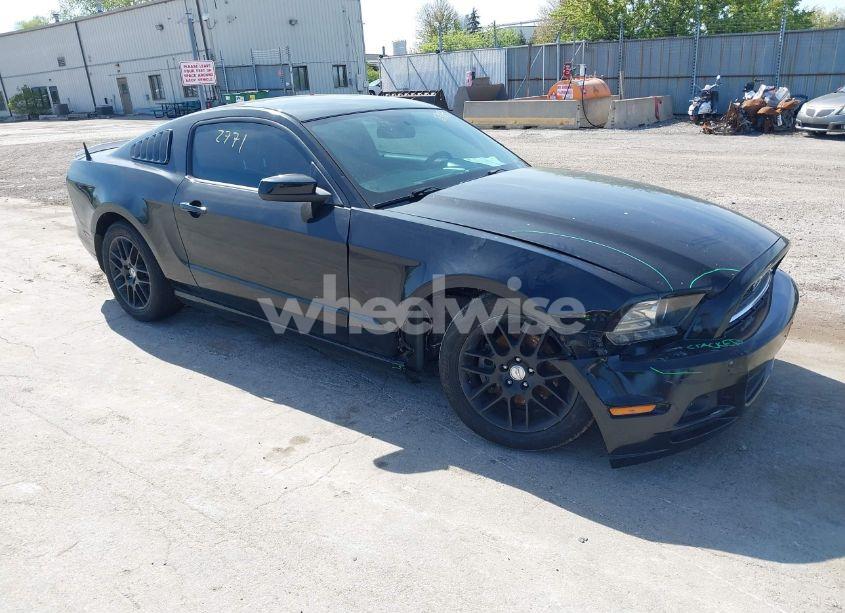 2014 Ford Mustang V6 (VIN 1ZVBP8AMXE5299251) main photo