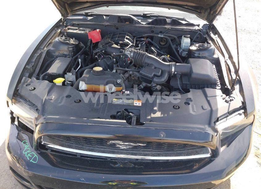 Photo 10 of 2014 Ford Mustang V6 (VIN 1ZVBP8AMXE5299251)