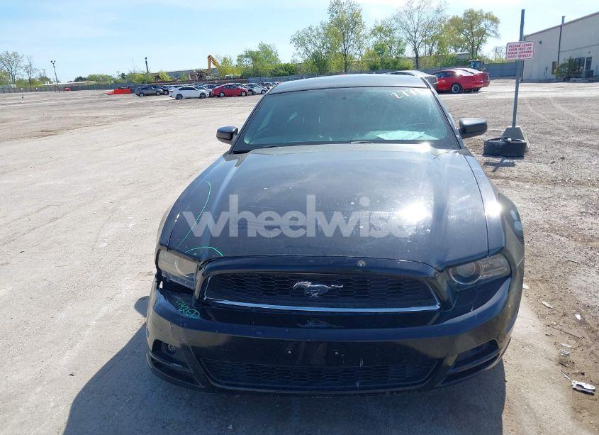 Photo 12 of 2014 Ford Mustang V6 (VIN 1ZVBP8AMXE5299251)