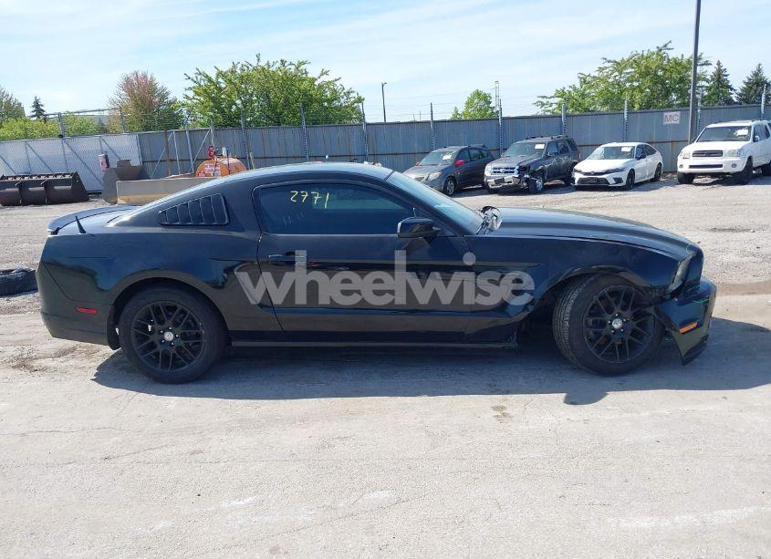 Photo 13 of 2014 Ford Mustang V6 (VIN 1ZVBP8AMXE5299251)