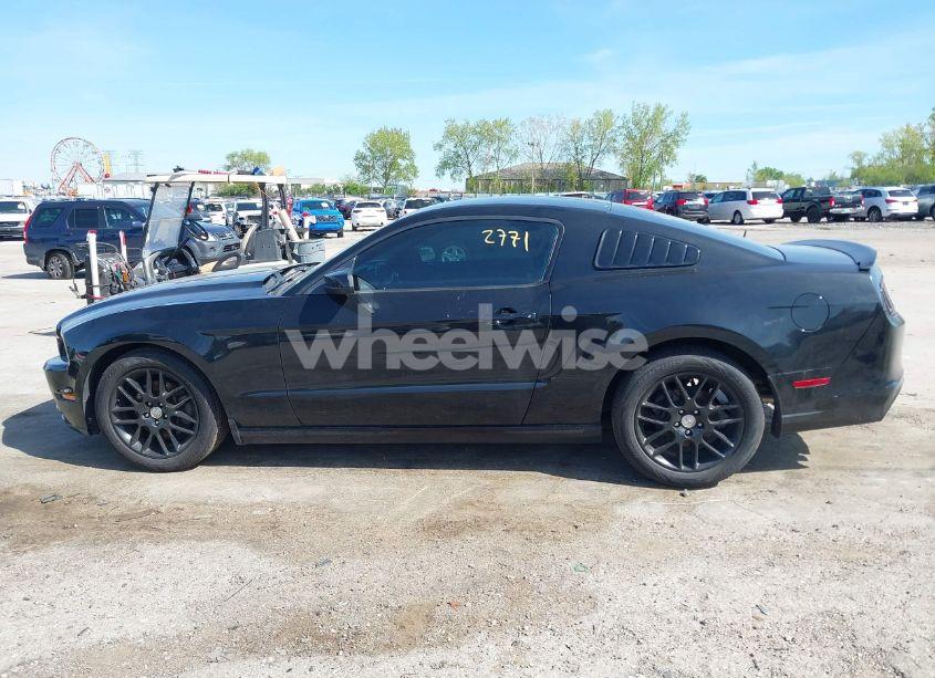 Photo 14 of 2014 Ford Mustang V6 (VIN 1ZVBP8AMXE5299251)