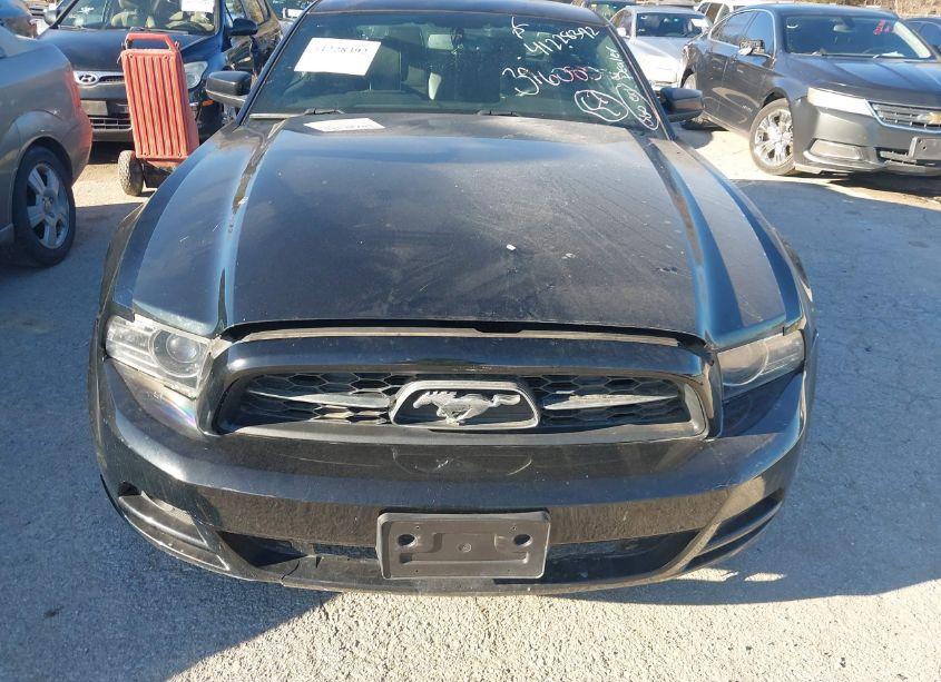 Photo 12 of 2014 Ford Mustang V6 PREMIUM (VIN 1ZVBP8AMXE5303458)