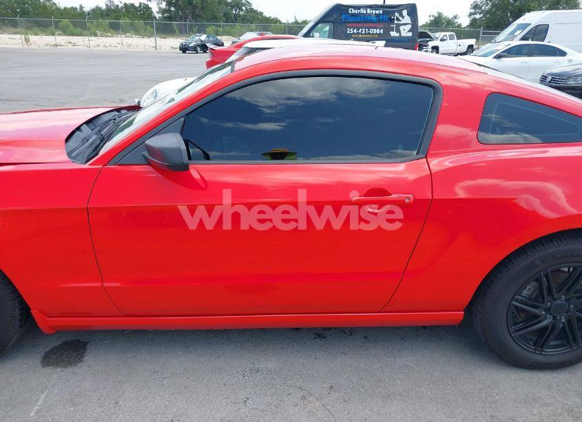 Photo 14 of 2014 Ford Mustang V6 (VIN 1ZVBP8AMXE5309700)