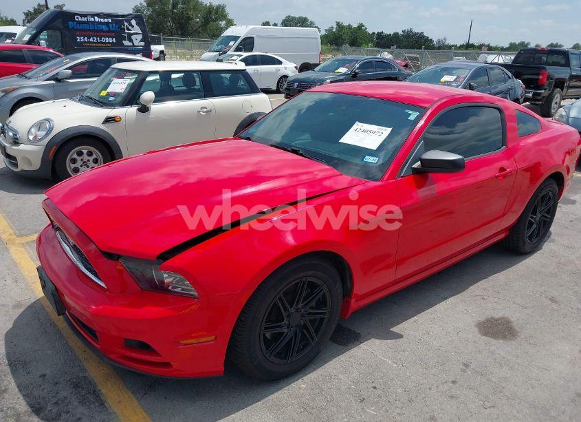 Photo 18 of 2014 Ford Mustang V6 (VIN 1ZVBP8AMXE5309700)