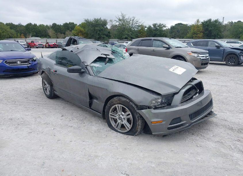 2014 Ford Mustang V6 (VIN 1ZVBP8AMXE5313116) main photo