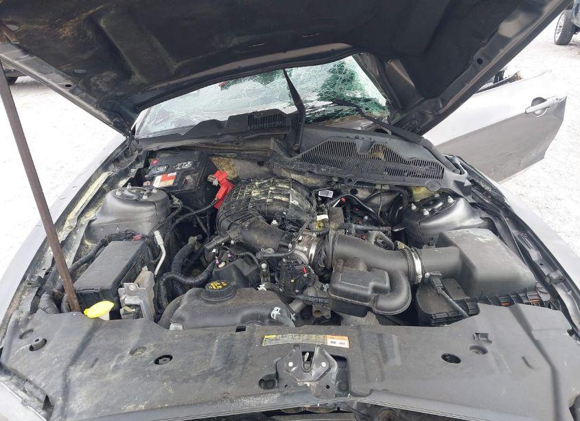 Photo 10 of 2014 Ford Mustang V6 (VIN 1ZVBP8AMXE5313116)