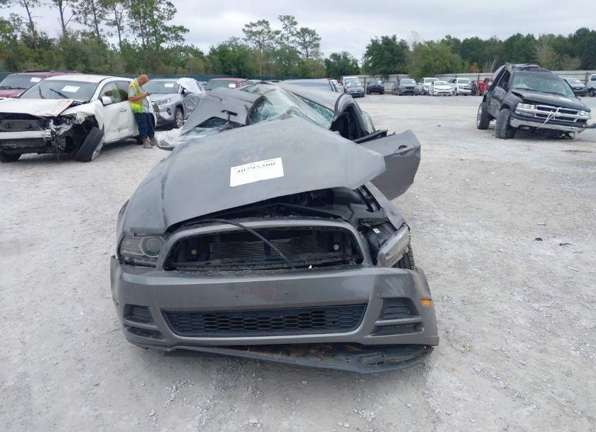 Photo 11 of 2014 Ford Mustang V6 (VIN 1ZVBP8AMXE5313116)