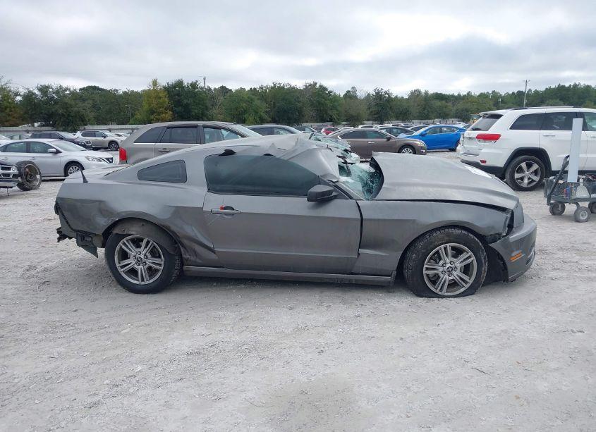 Photo 12 of 2014 Ford Mustang V6 (VIN 1ZVBP8AMXE5313116)