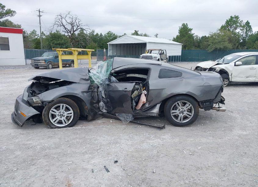 Photo 13 of 2014 Ford Mustang V6 (VIN 1ZVBP8AMXE5313116)