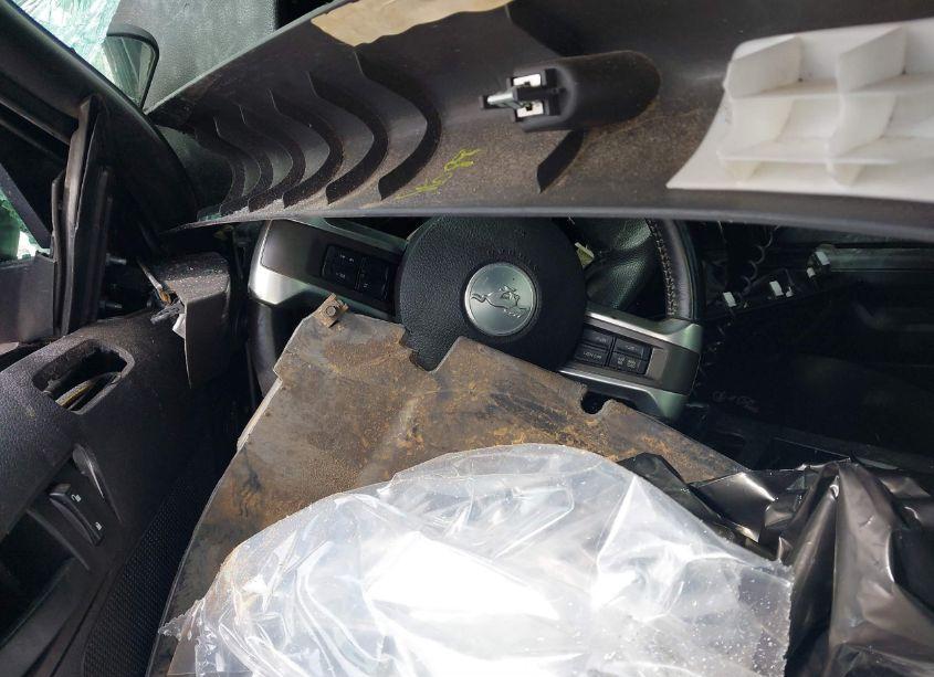 Photo 14 of 2014 Ford Mustang V6 (VIN 1ZVBP8AMXE5313116)