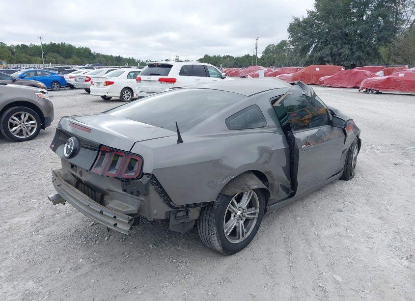 Photo 4 of 2014 Ford Mustang V6 (VIN 1ZVBP8AMXE5313116)