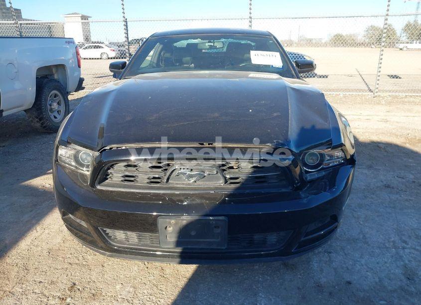 Photo 12 of 2014 Ford Mustang V6 PREMIUM (VIN 1ZVBP8AMXE5315948)