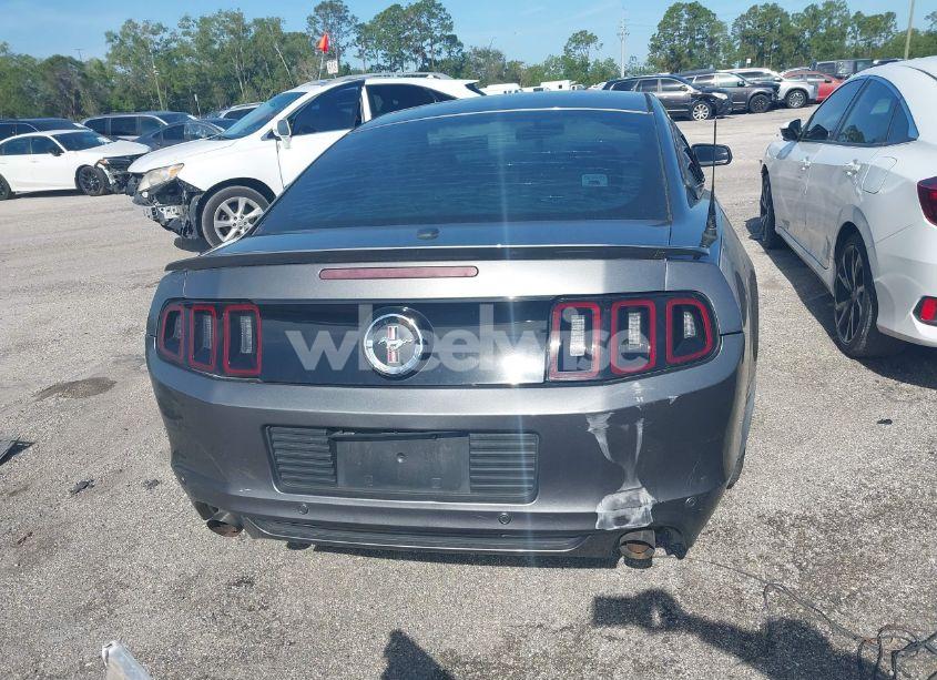 Photo 17 of 2014 Ford Mustang V6 PREMIUM (VIN 1ZVBP8AMXE5324973)