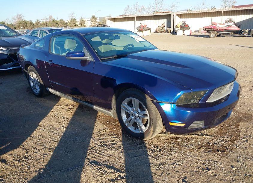 2010 Ford Mustang V6/V6 PREMIUM (VIN 1ZVBP8AN0A5128091) main photo
