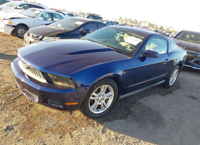 Photo 2 of 2010 Ford Mustang V6/V6 PREMIUM (VIN 1ZVBP8AN0A5128091)