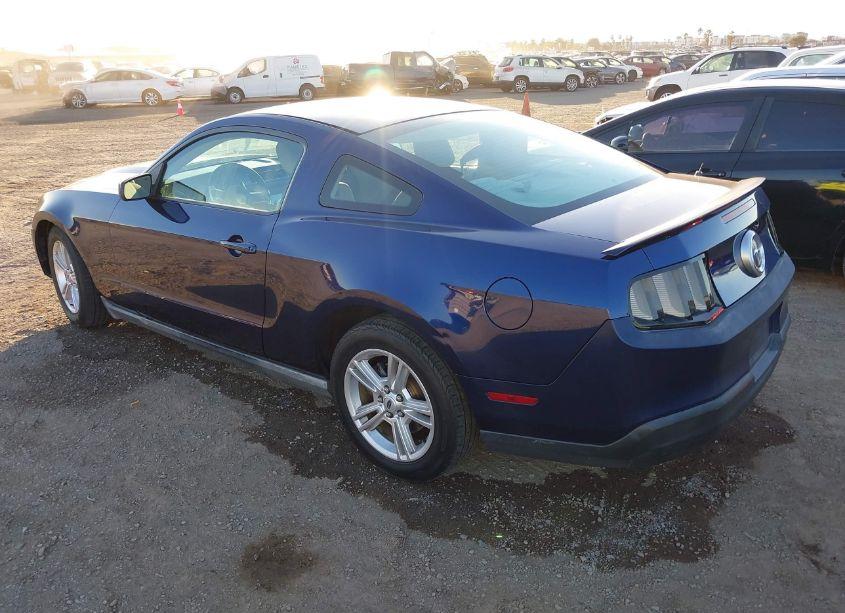 Photo 3 of 2010 Ford Mustang V6/V6 PREMIUM (VIN 1ZVBP8AN0A5128091)