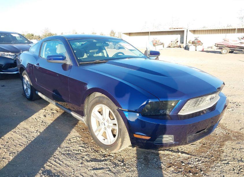 Photo 6 of 2010 Ford Mustang V6/V6 PREMIUM (VIN 1ZVBP8AN0A5128091)