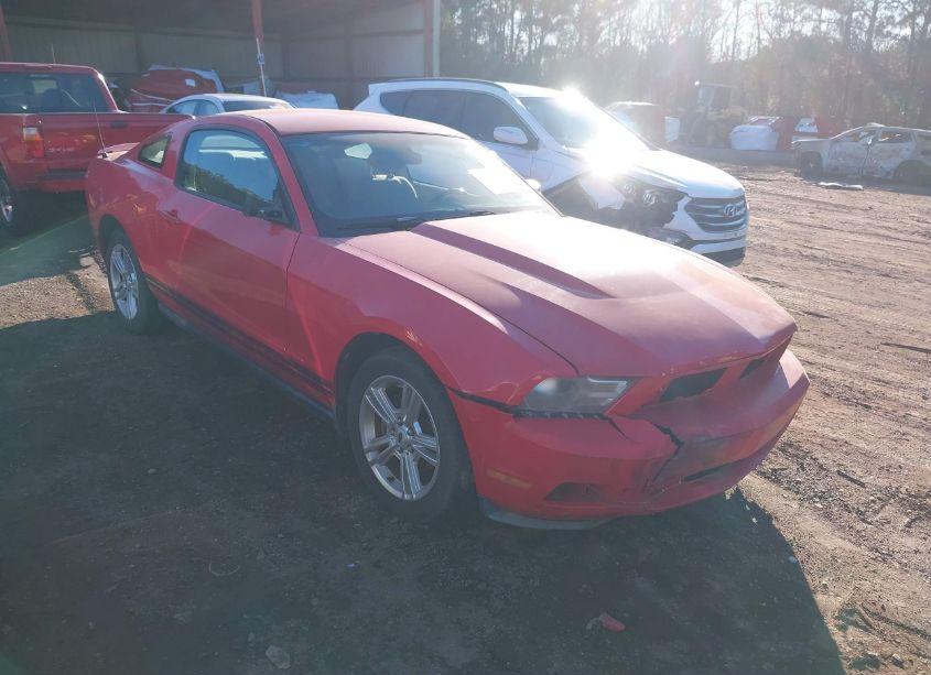2010 Ford Mustang V6/V6 PREMIUM (VIN 1ZVBP8AN0A5137504) main photo