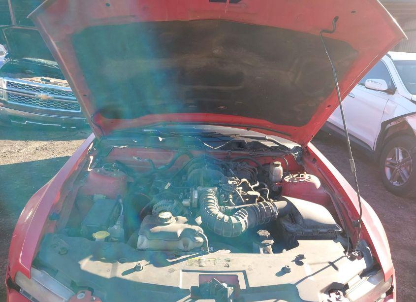 Photo 10 of 2010 Ford Mustang V6/V6 PREMIUM (VIN 1ZVBP8AN0A5137504)