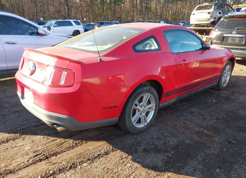 Photo 4 of 2010 Ford Mustang V6/V6 PREMIUM (VIN 1ZVBP8AN0A5137504)