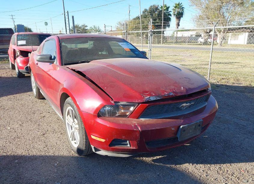 2010 Ford Mustang V6/V6 PREMIUM (VIN 1ZVBP8AN0A5156814) main photo