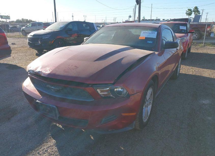 Photo 2 of 2010 Ford Mustang V6/V6 PREMIUM (VIN 1ZVBP8AN0A5156814)