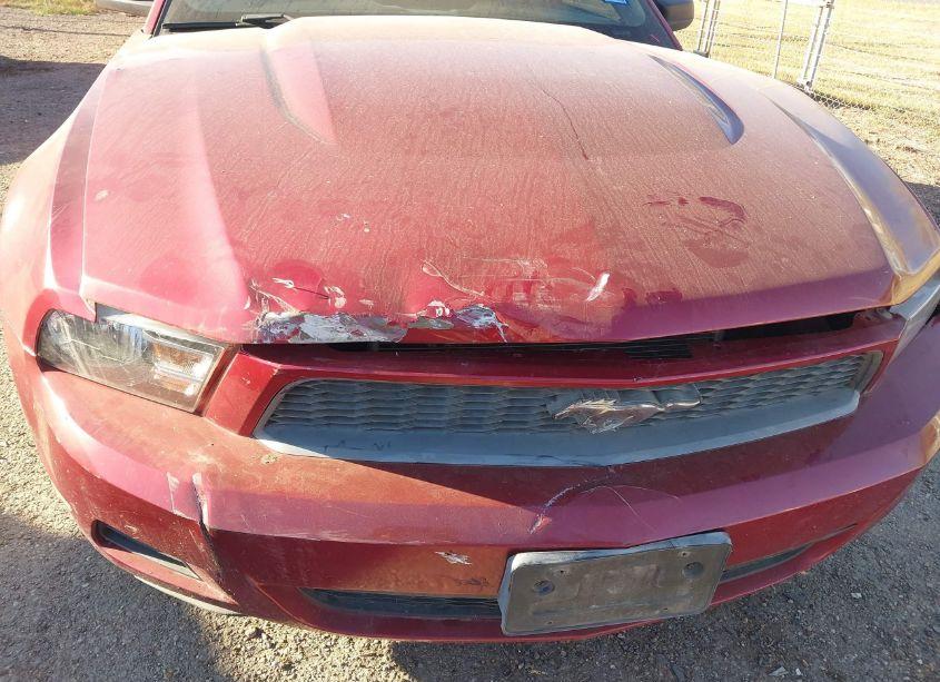 Photo 6 of 2010 Ford Mustang V6/V6 PREMIUM (VIN 1ZVBP8AN0A5156814)