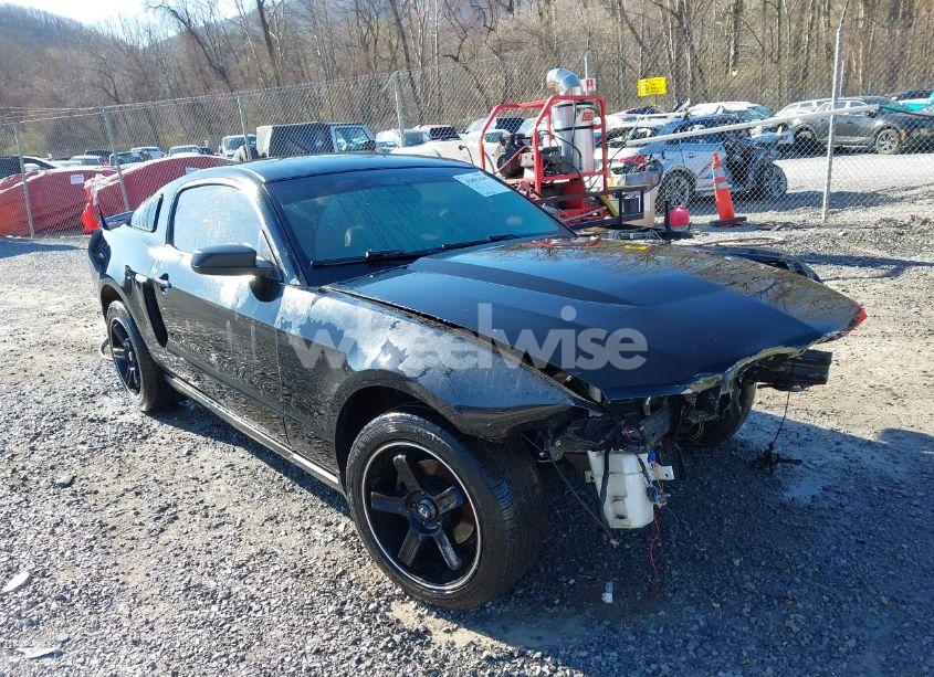 2010 Ford Mustang V6/V6 PREMIUM (VIN 1ZVBP8AN0A5181535) main photo