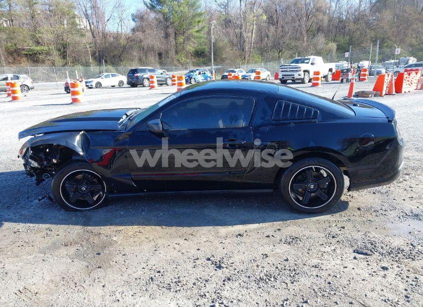 Photo 14 of 2010 Ford Mustang V6/V6 PREMIUM (VIN 1ZVBP8AN0A5181535)