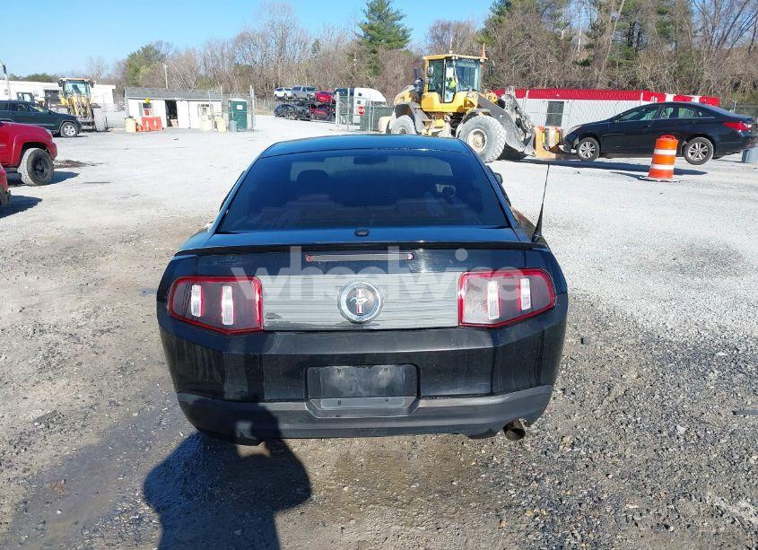 Photo 16 of 2010 Ford Mustang V6/V6 PREMIUM (VIN 1ZVBP8AN0A5181535)