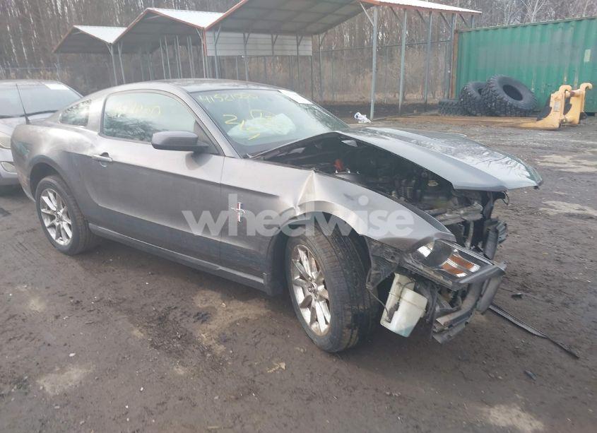 2010 Ford Mustang V6/V6 PREMIUM (VIN 1ZVBP8AN1A5105497) main photo
