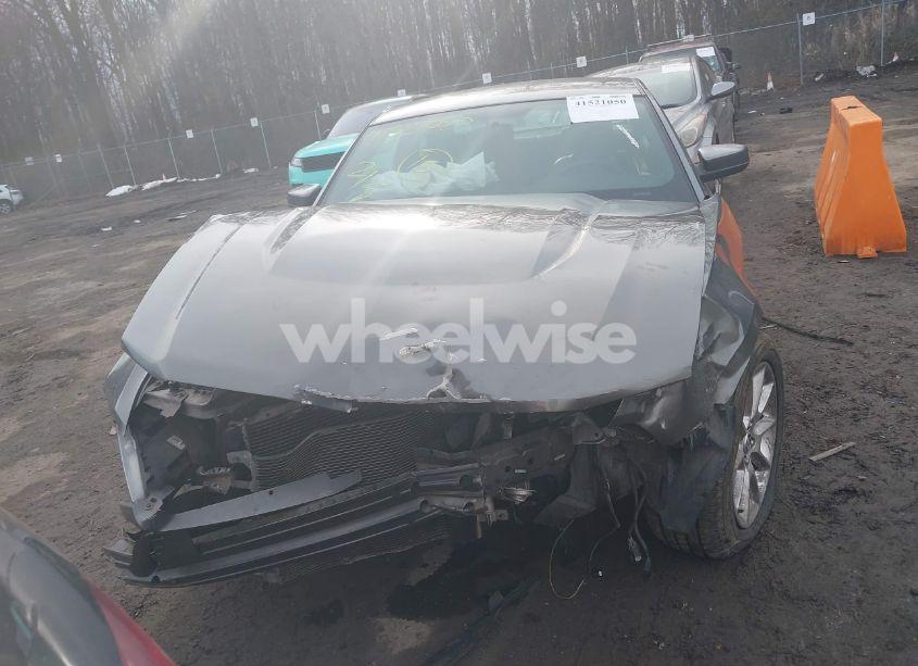 Photo 12 of 2010 Ford Mustang V6/V6 PREMIUM (VIN 1ZVBP8AN1A5105497)