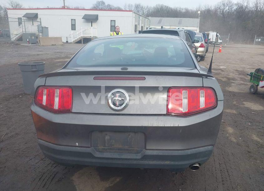 Photo 16 of 2010 Ford Mustang V6/V6 PREMIUM (VIN 1ZVBP8AN1A5105497)