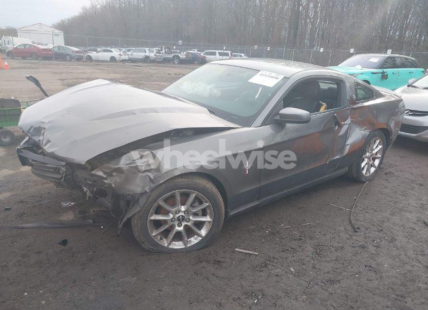 Photo 2 of 2010 Ford Mustang V6/V6 PREMIUM (VIN 1ZVBP8AN1A5105497)