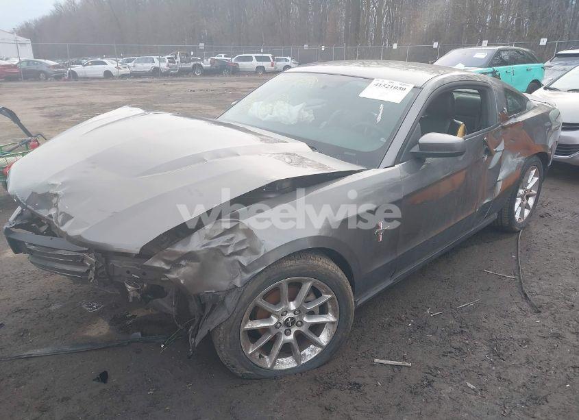 Photo 6 of 2010 Ford Mustang V6/V6 PREMIUM (VIN 1ZVBP8AN1A5105497)