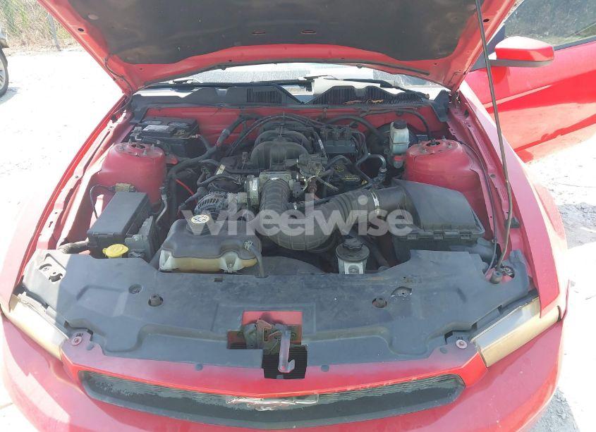 Photo 10 of 2010 Ford Mustang V6/V6 PREMIUM (VIN 1ZVBP8AN1A5133297)