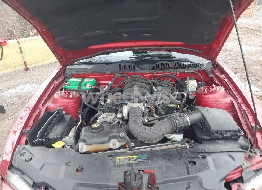 Photo 10 of 2010 Ford Mustang V6/V6 PREMIUM (VIN 1ZVBP8AN1A5148432)