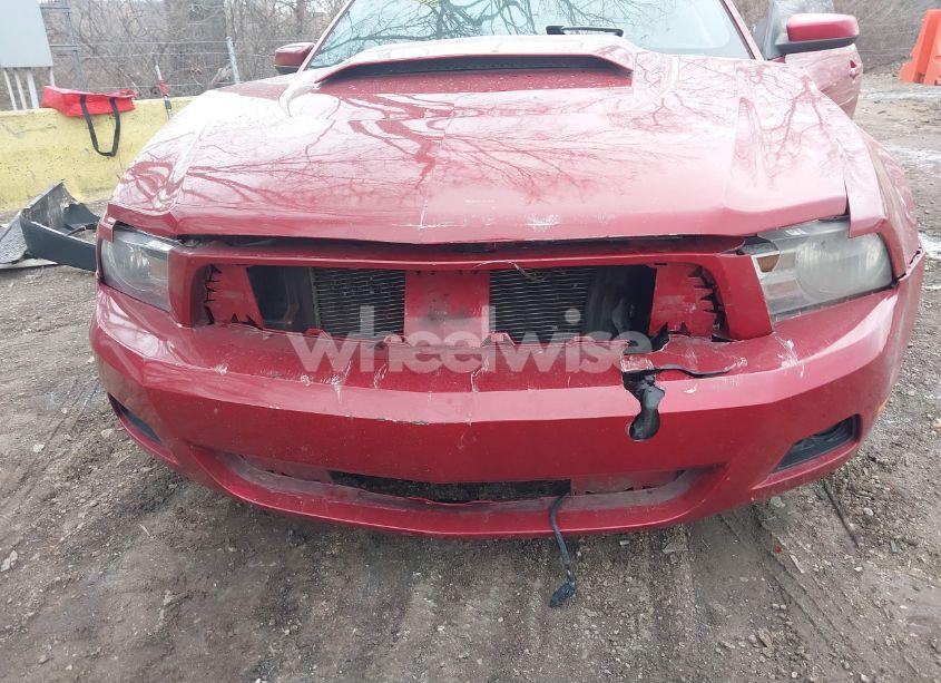 Photo 6 of 2010 Ford Mustang V6/V6 PREMIUM (VIN 1ZVBP8AN1A5148432)