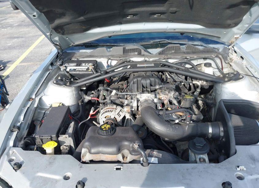 Photo 10 of 2010 Ford Mustang (VIN 1ZVBP8AN1A5162346)