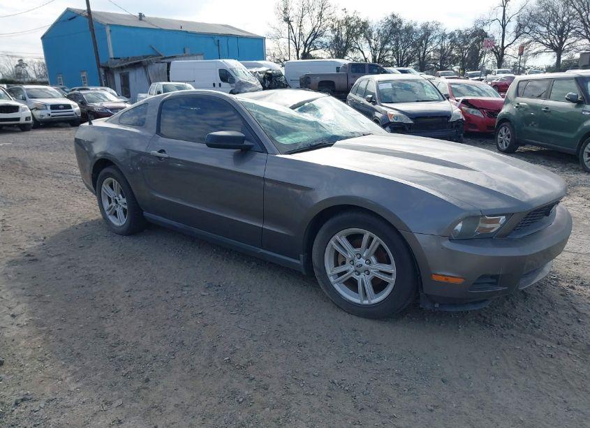 2010 Ford Mustang V6 (VIN 1ZVBP8AN2A5101619) main photo