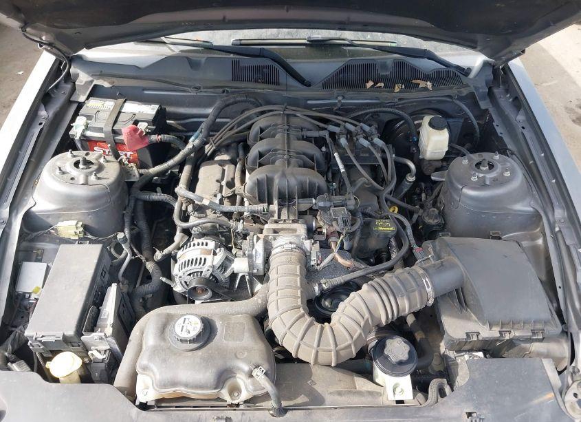 Photo 10 of 2010 Ford Mustang V6 (VIN 1ZVBP8AN2A5101619)