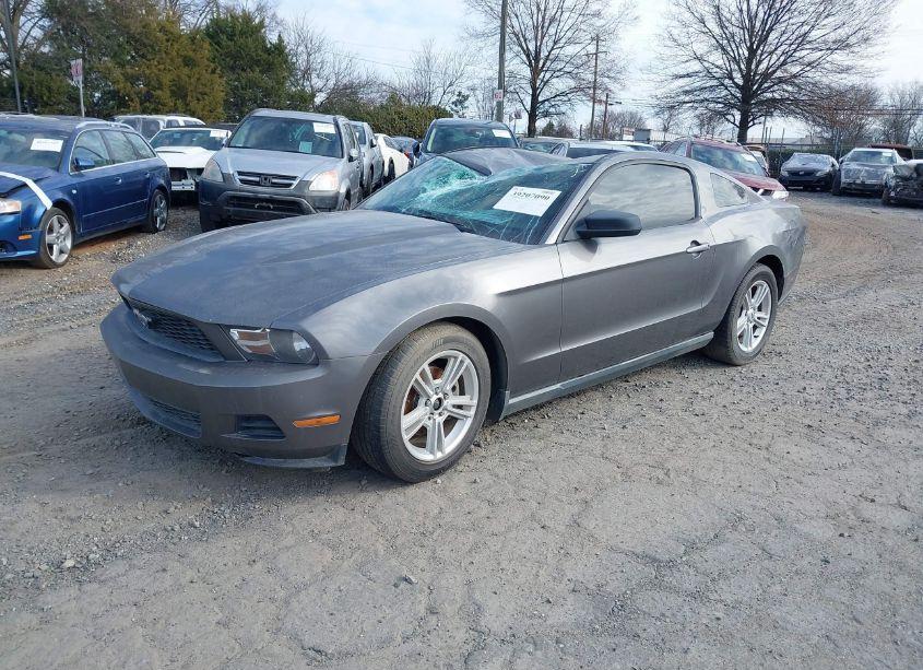 Photo 2 of 2010 Ford Mustang V6 (VIN 1ZVBP8AN2A5101619)