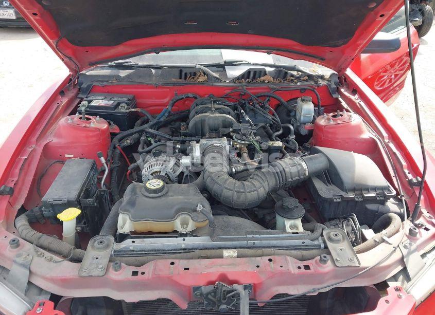 Photo 10 of 2010 Ford Mustang V6/V6 PREMIUM (VIN 1ZVBP8AN2A5117237)