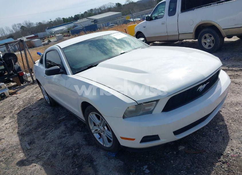 2010 Ford Mustang V6/V6 PREMIUM (VIN 1ZVBP8AN2A5128500) main photo