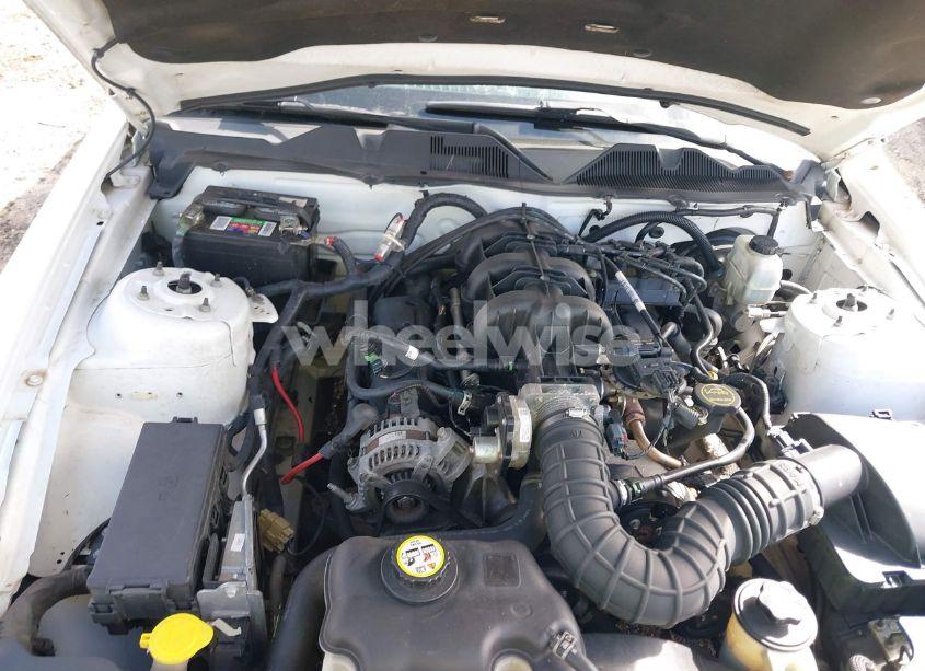 Photo 10 of 2010 Ford Mustang V6/V6 PREMIUM (VIN 1ZVBP8AN2A5128500)